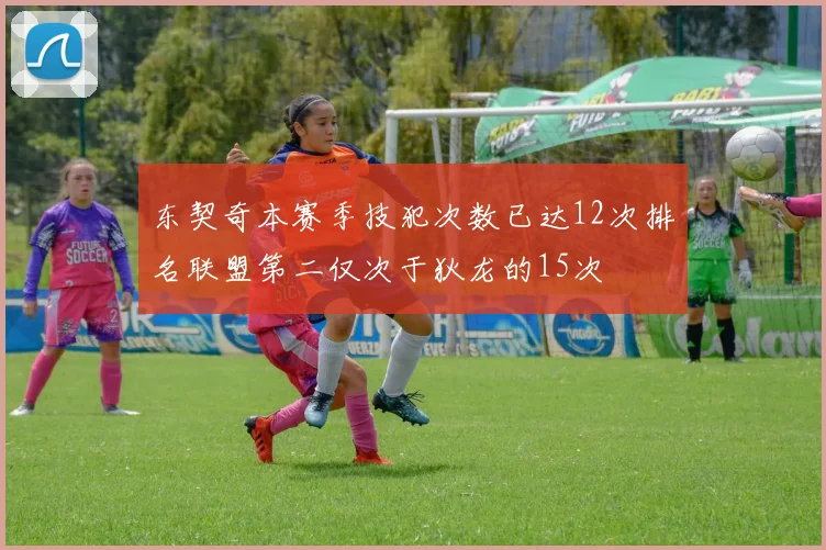 东契奇本赛季技犯次数已达12次排名联盟第二仅次于狄龙的15次